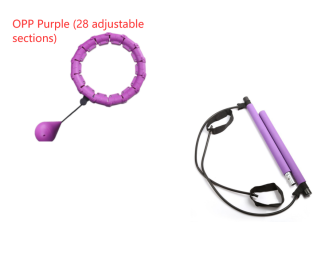 Fitness Sport Hoop Smart Upgrade Intelligent Sport Hoop Adjustable Thin Waist Exercise Gym Hoop Fitness Equipment Home Training (Option: Purple SetB)